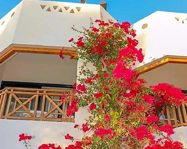 Ghazala Gardens 4* שארם א-שייח