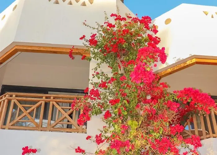 Ghazala Gardens 4* שארם א-שייח